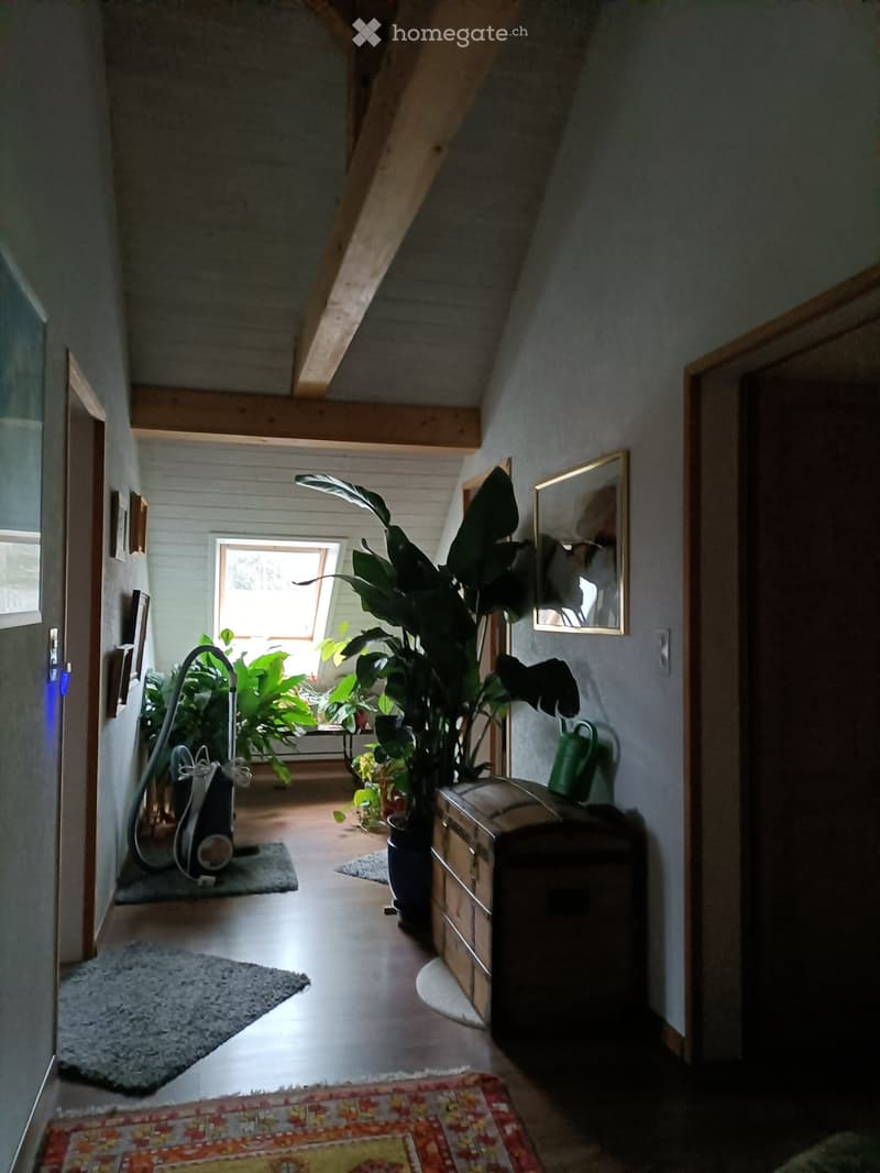 A narrow hallway with wooden floors, exposed wooden beams, and several doors leading to other rooms. There are potted plants, a vacuum cleaner, and a small rug visible.