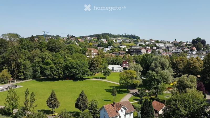 Aerial view of a suburban neighborhood with houses, trees, and a large green park area.