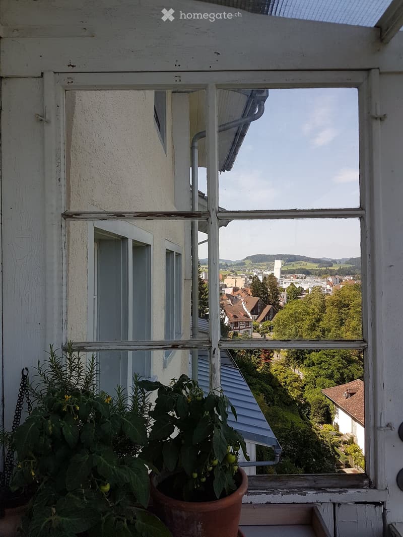 Balcony with potted plants, overlooking a town with houses, trees, and distant hills under a partly cloudy sky.