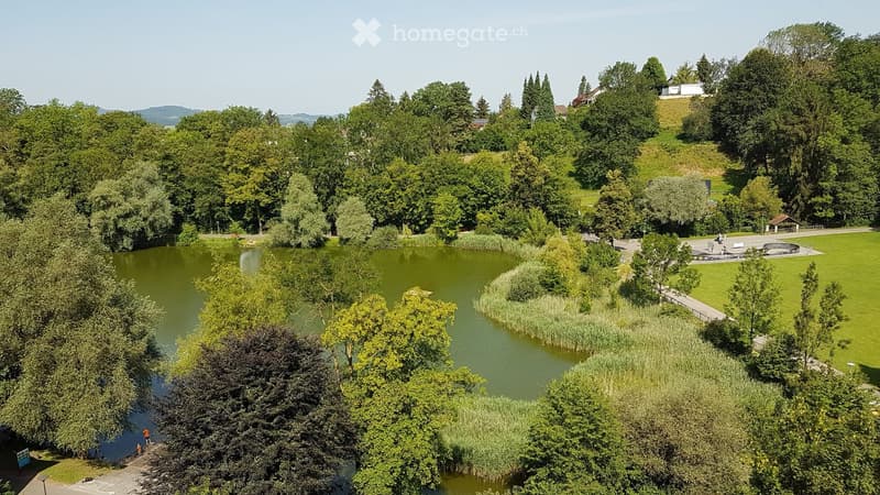Aerial view of a park with a lake, surrounded by lush green trees and grassy areas. The park features walking paths and a small dock extending into the water.