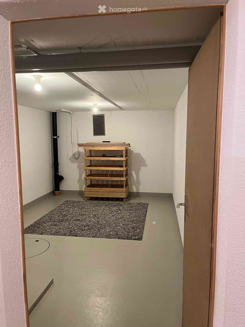 A narrow, unfinished basement hallway with concrete floors, white walls, exposed pipes, and a small wooden shelf. The area is lit by ceiling lights and features a small rug on the floor.