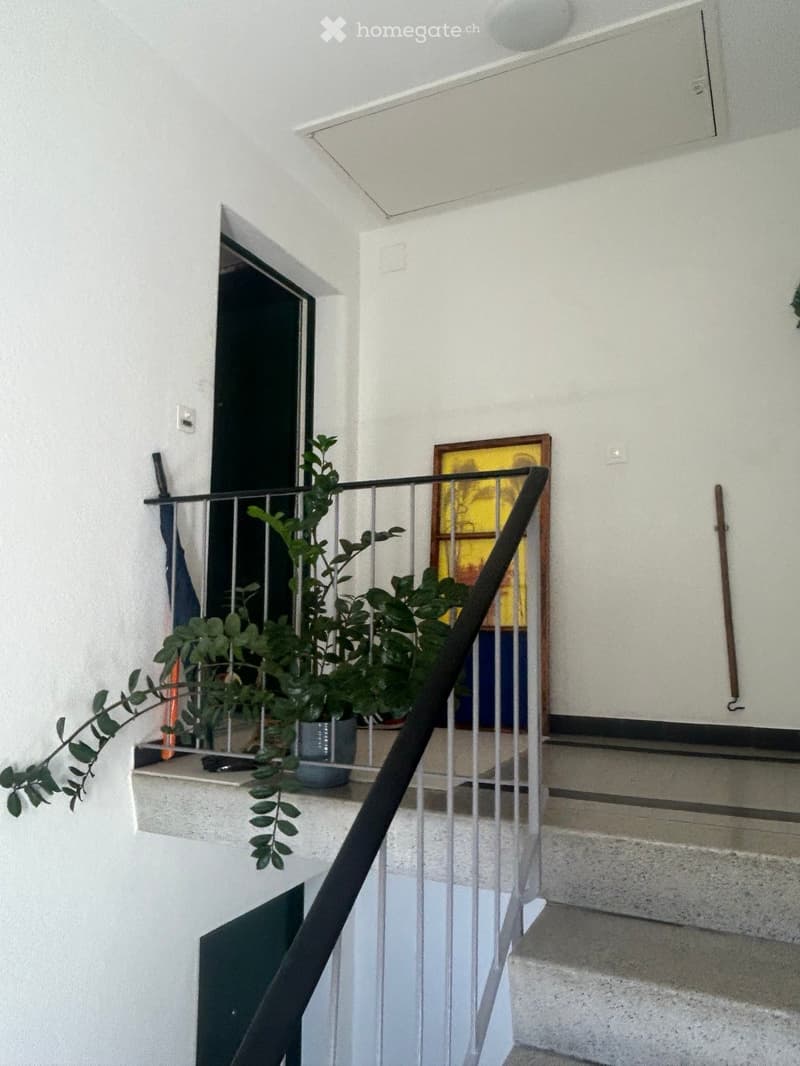 A narrow hallway with a staircase leading upwards, featuring a metal railing, potted plants on a small ledge, and a framed picture on the wall.