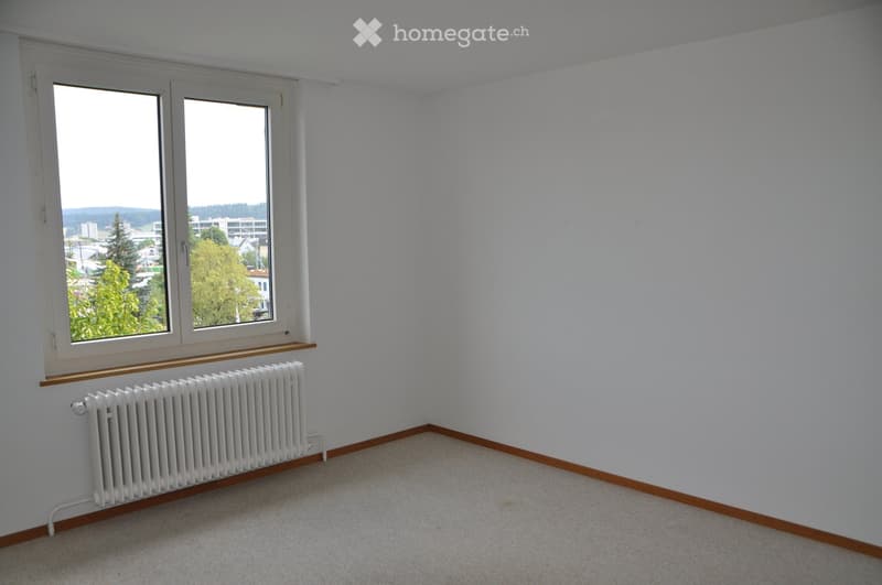Empty room with white walls, carpeted floor, large window with view, and radiator below the window.