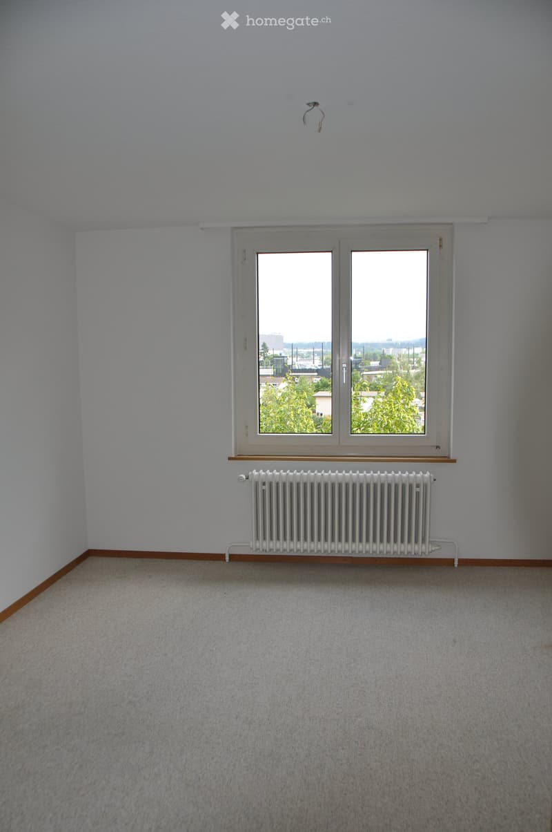 Empty room with light grey walls, carpeted floor, white radiator, and large double-glazed window offering a view of greenery and buildings.