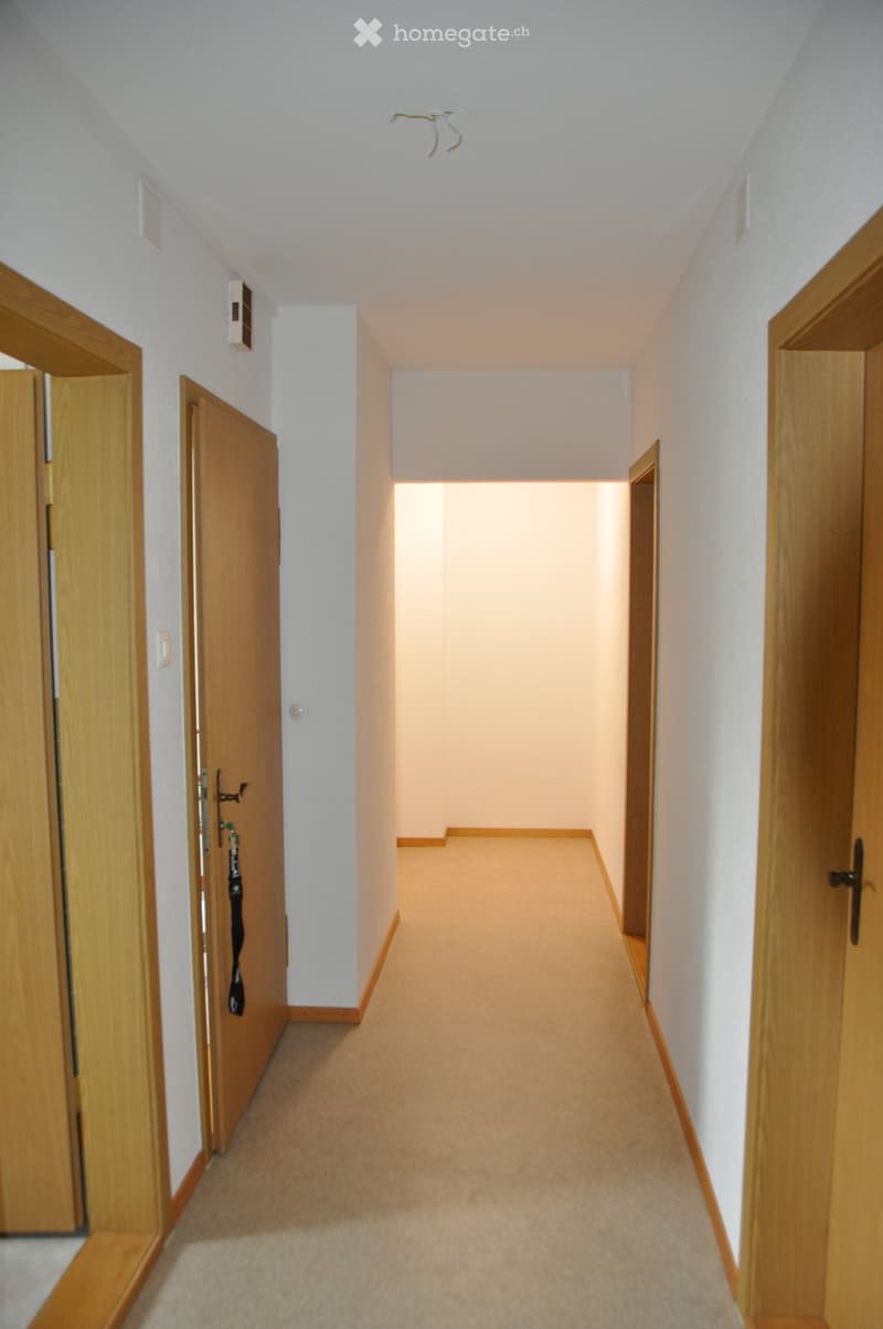 Empty hallway with light-colored walls, carpeted floor, and wooden doors on both sides.