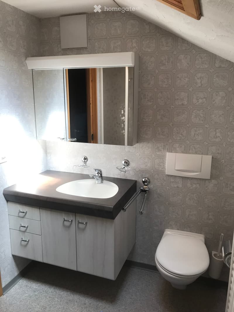 Modern bathroom with grey hexagonal tiles, a white sink with a chrome faucet, a toilet, and a large mirror above the sink.