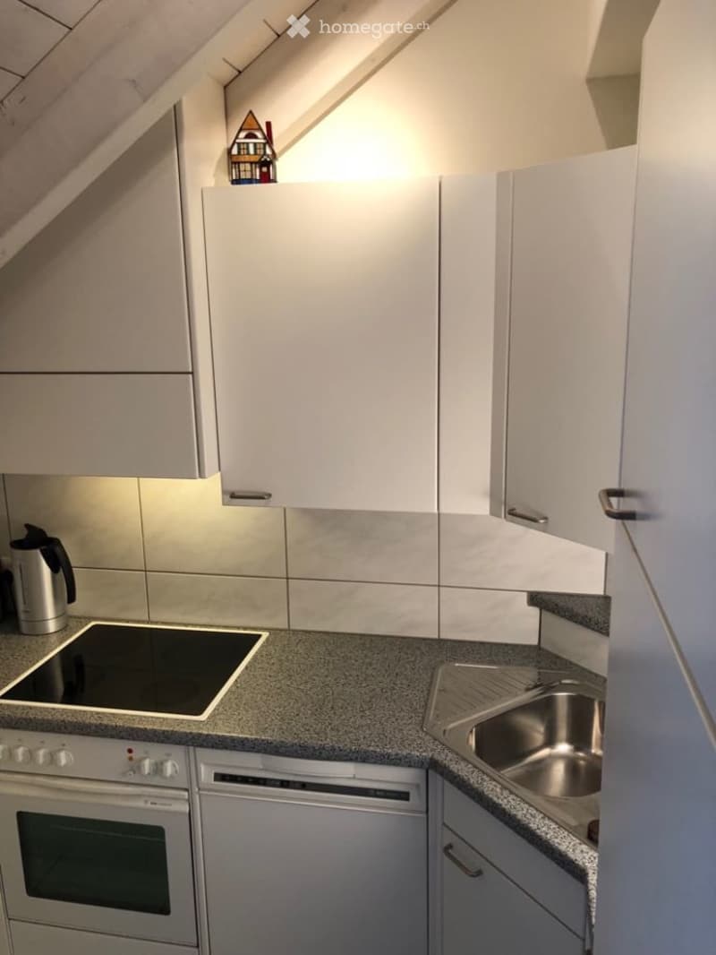 Modern kitchen with white cabinets, grey granite countertop, induction cooktop, stainless steel sink, and built-in oven. Features a small decorative house figurine on top of the cabinets.