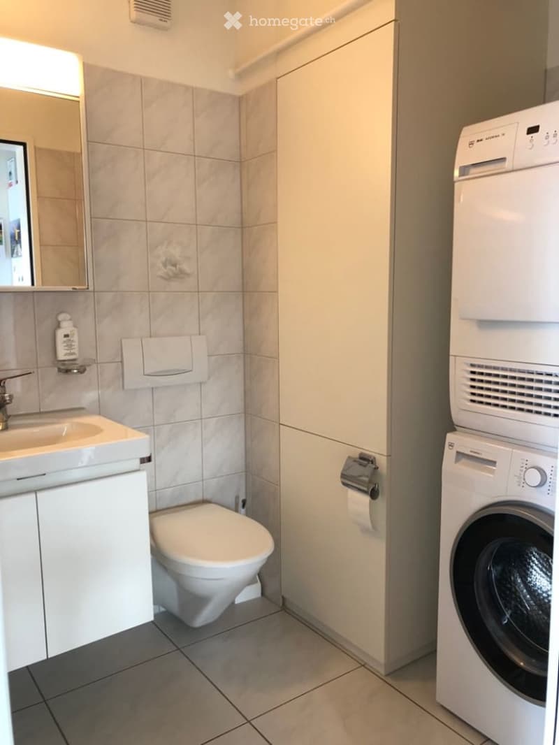 Modern bathroom with a white sink, toilet, mirror, and a washing machine. The walls are tiled in light gray, and there is a small cabinet next to the sink.