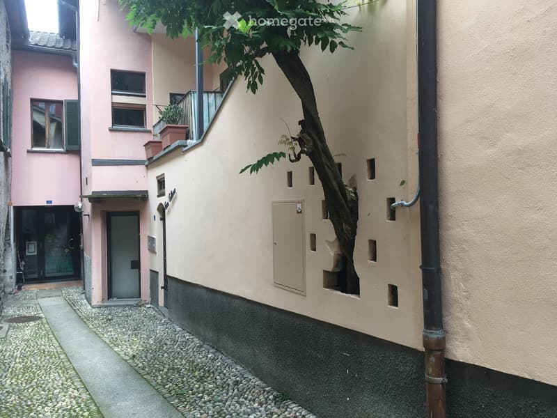 Narrow alleyway between two buildings, one pink and one beige, with a small tree growing from the wall and a small balcony with potted plants on the pink building.