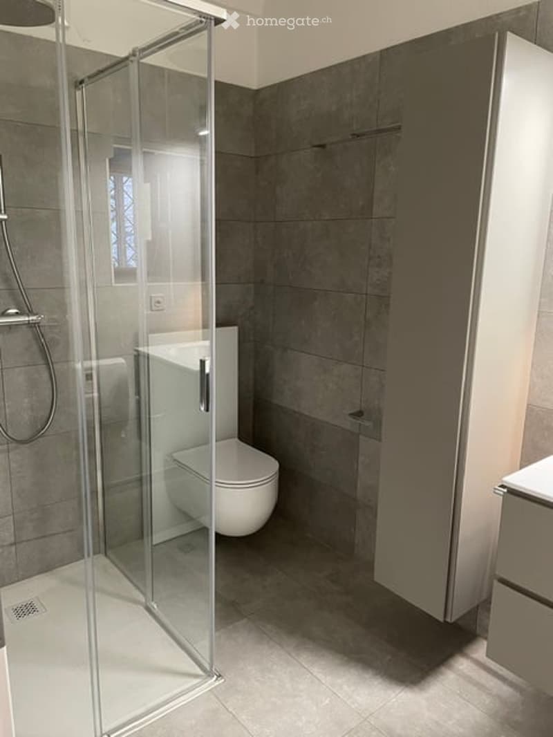 Modern bathroom with grey tiled walls and floor, white toilet, glass shower stall, and built-in cabinet.