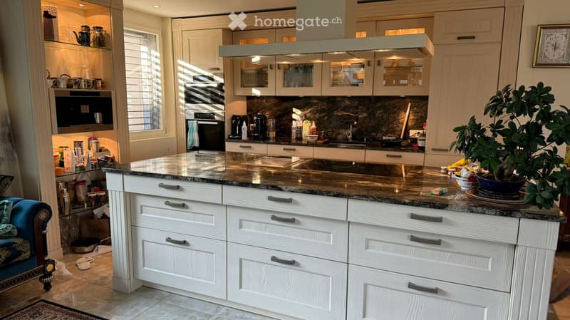 Modern kitchen with white cabinets, granite countertop, built-in oven, microwave, coffee maker, and a potted plant on the counter.