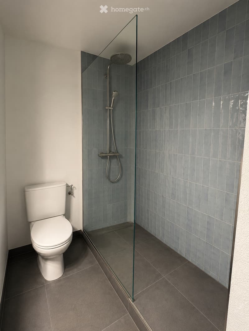 Modern bathroom with a white toilet, glass-enclosed shower with blue tiles, and a showerhead.