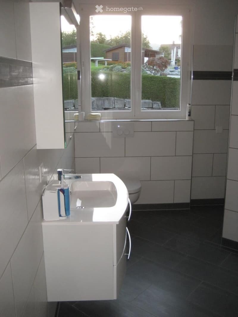 Modern bathroom with a white sink, chrome faucet, toothbrush holder, large mirror, and a toilet. The room features dark tiled flooring and white tiled walls.