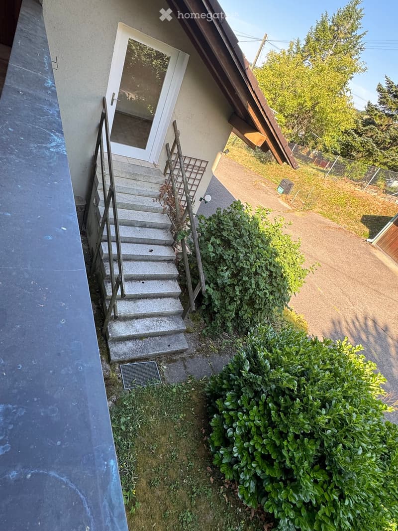 Outdoor area with concrete steps leading to a white door, surrounded by greenery and a gravel path.