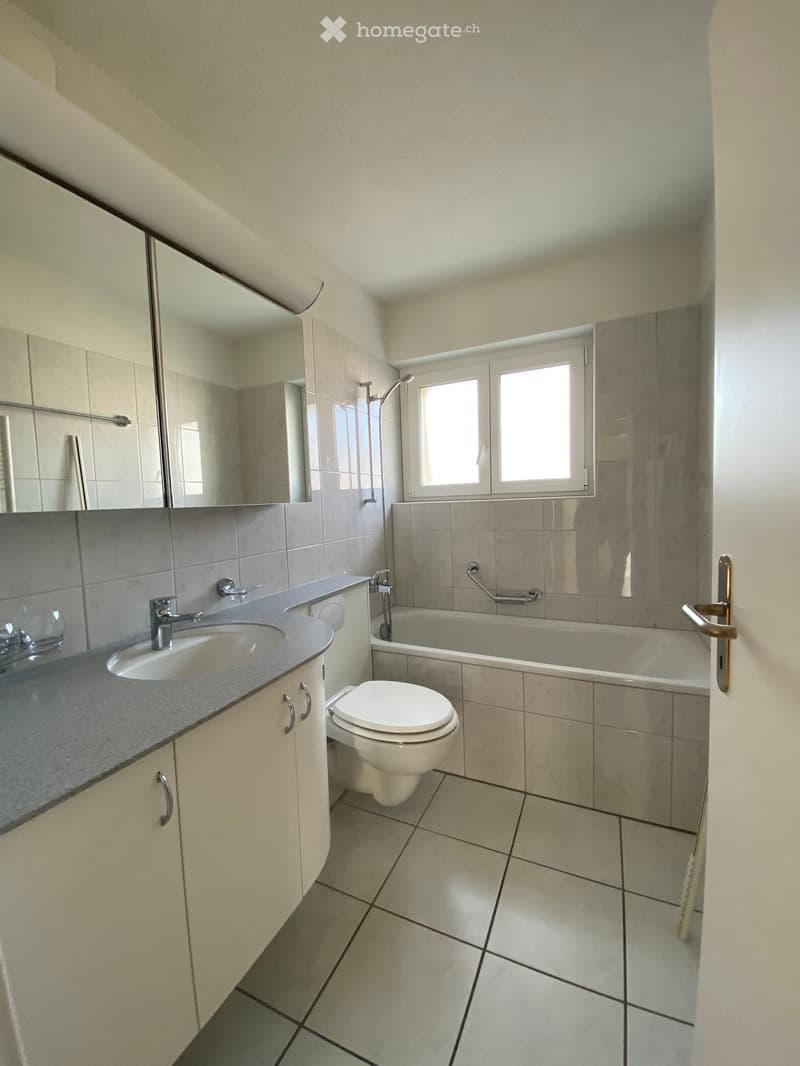 Bathroom: bathtub, white ceramic tiles, white toilet, sink, mirror, tile shower