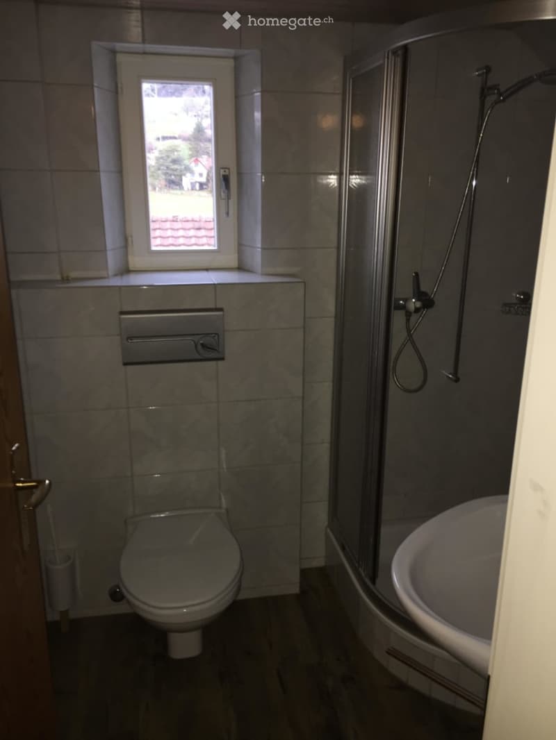 Modern bathroom with a toilet, sink, and walk-in shower. Features a window with a view of the outside, tiled walls, and a wooden floor.