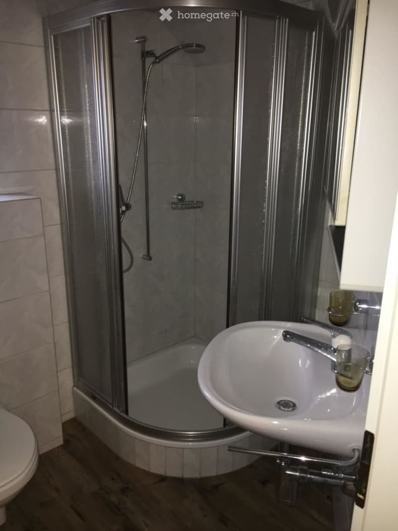 Modern bathroom with a glass-enclosed shower stall, a white sink with a chrome faucet, and a toilet. The shower features a handheld sprayer and a built-in seat.