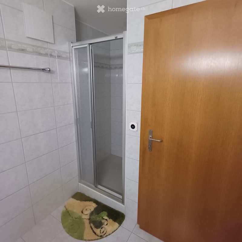 Bathroom. Modern bathroom with white tiled walls, a glass-enclosed shower, a wooden door, and a decorative rug on the floor.