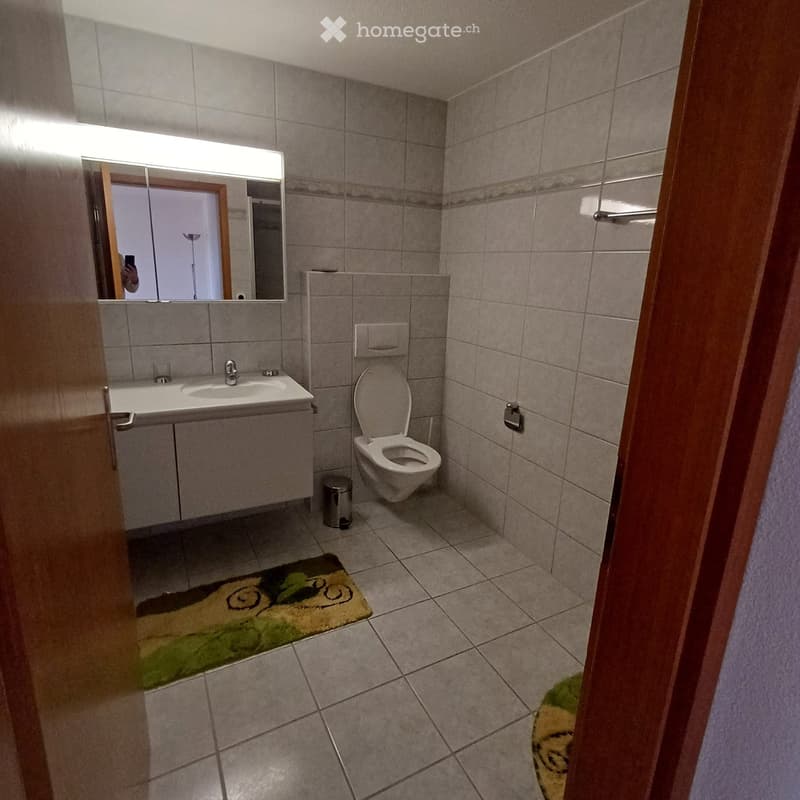 Bathroom. Modern bathroom with tiled walls and floor, featuring a double sink, toilet, mirror, and a small rug.