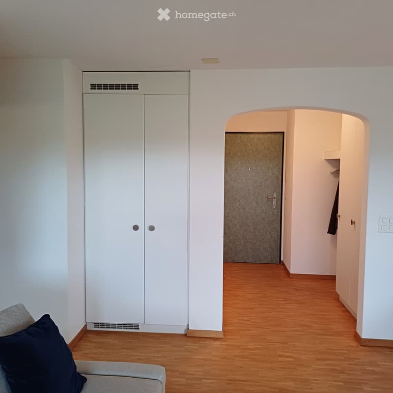 Furnished Room. A modern, minimalist living room with light wooden flooring, white walls, and a grey sofa with a dark pillow. A white cabinet with double doors is mounted on the wall, and an arched doorway leads to another room.