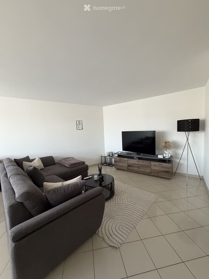 Modern living room with a grey sectional sofa, coffee table, TV on a wooden stand, side table, floor lamp, and a decorative rug.