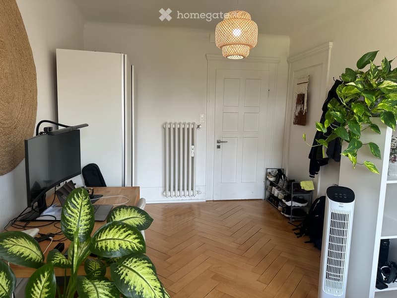A modern, well-lit room with wooden flooring, a large screen, a laptop on a table, a fan, a radiator, and several plants. The room features a white door and a hanging woven light fixture.