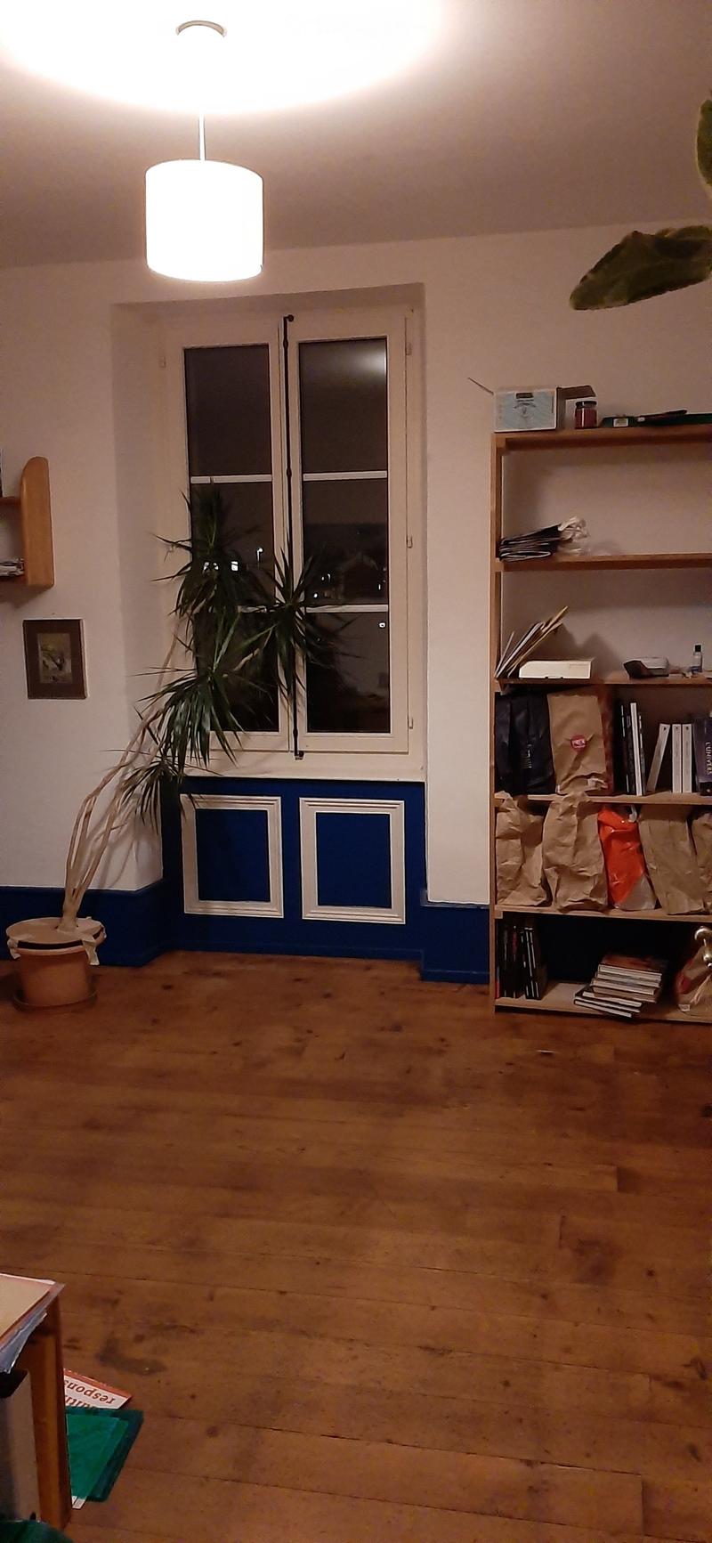 A well-lit room with wooden flooring, a large window, a bookshelf filled with books and items, a potted plant, and a hanging lamp.