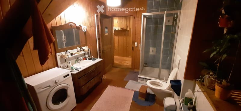 Bathroom with wooden walls, a sink with a mirror, a toilet, a shower, and a washing machine. The space is well-lit with a ceiling light and has a small plant near the corner.