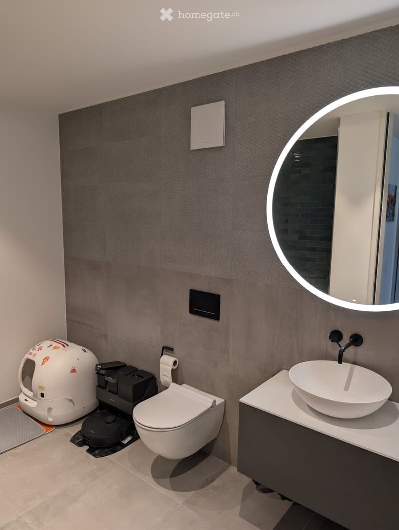 Modern bathroom with a white sink, toilet, round mirror, and a cat litter box in the corner.