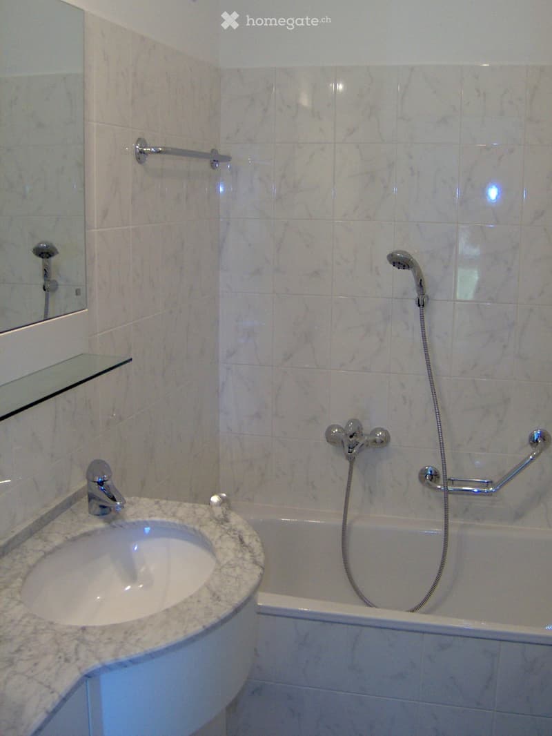 Modern bathroom with a marble sink, chrome faucet, bathtub, handheld showerhead, and handrail.