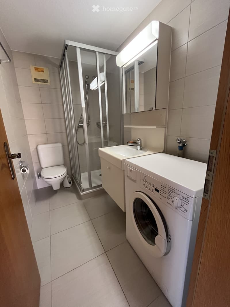 Modern bathroom with a toilet, sink, washing machine, and a glass-enclosed shower. Light-colored tiles and wooden accents.