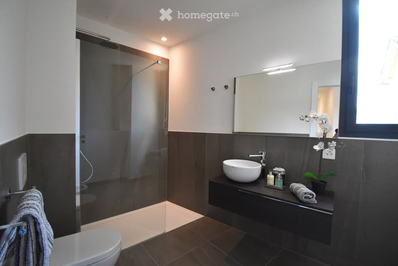 Modern bathroom with dark tiles, a glass-enclosed shower, a white sink, a large mirror, and a small potted plant on the vanity.
