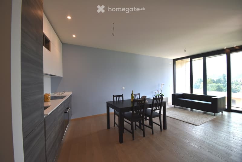 Modern open-plan living and dining area with a dark wooden dining table, black chairs, a grey sofa, and a sleek kitchen area with cabinets and a countertop.