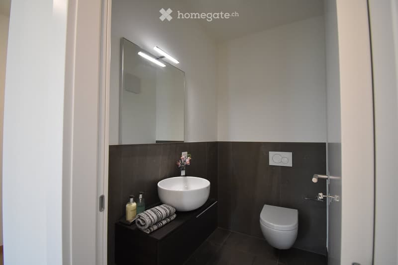 Modern bathroom with dark walls, white sink, toilet, mirror, and small decorative items on the counter.