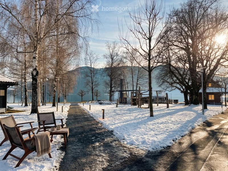 A snow-covered pathway lined with trees leads to a wooden bench and table setup with a cup and blanket, surrounded by bare trees and a distant mountain view.