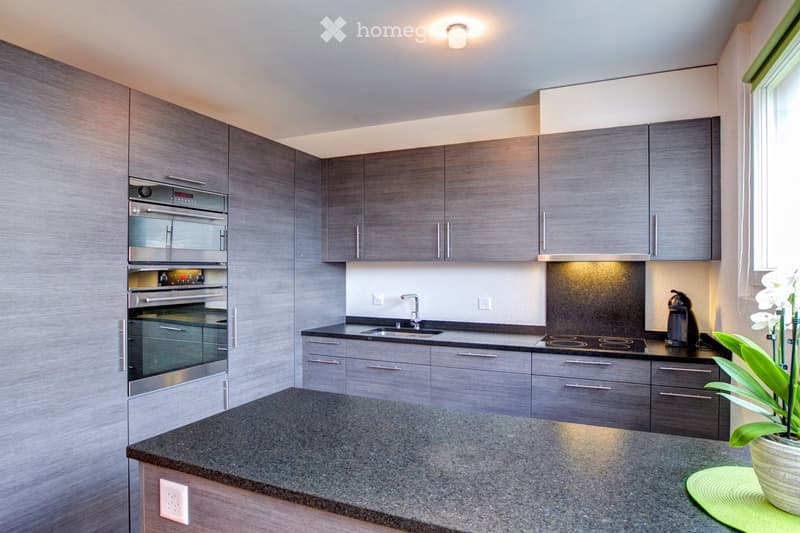 Modern kitchen with grey cabinets, stainless steel appliances, granite countertop, and a small flower pot on the counter.