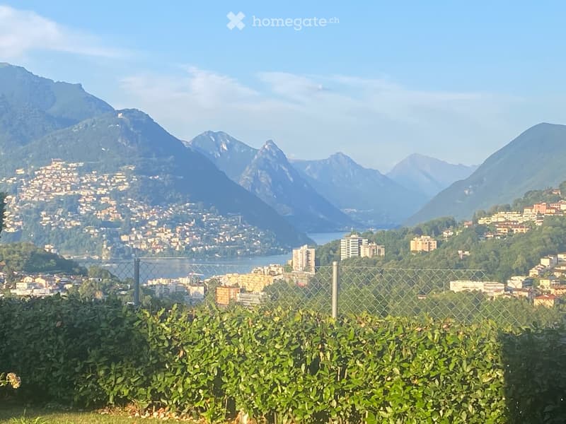 A scenic view of a town nestled in a valley surrounded by mountains, with a lake in the foreground and a chain-link fence in the foreground.