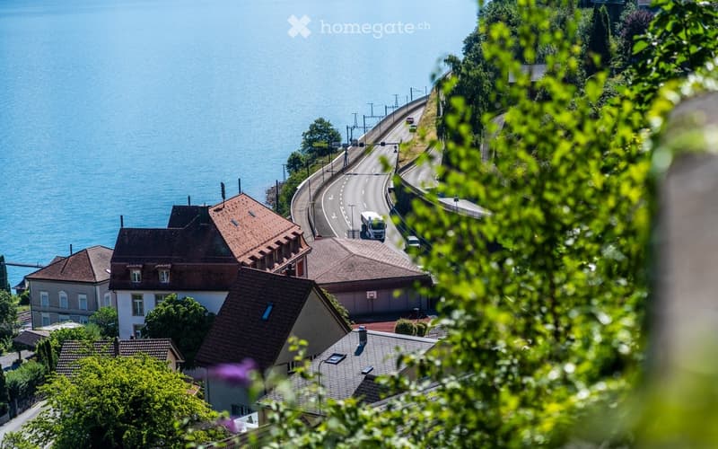 Aerial view of a residential area with multiple houses, a winding road, and a body of water in the background.