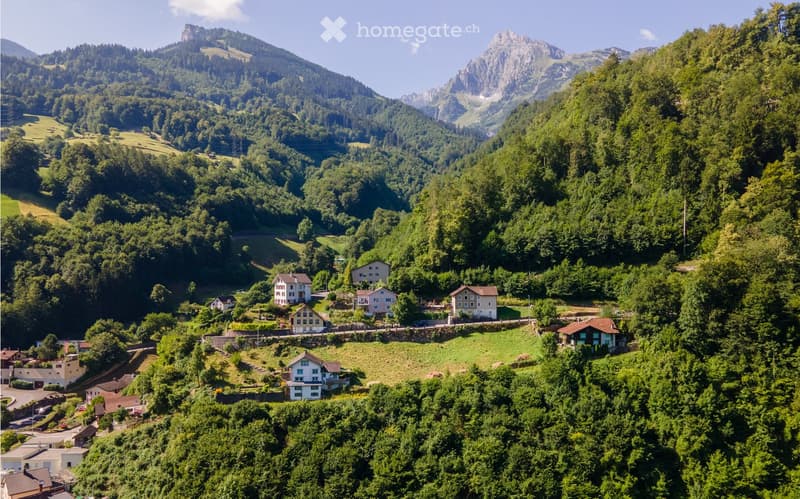 Aerial view of a small village nestled in a lush green valley surrounded by dense forests and towering mountains. The village features several houses with varied architectural styles, surrounded by trees and open fields.