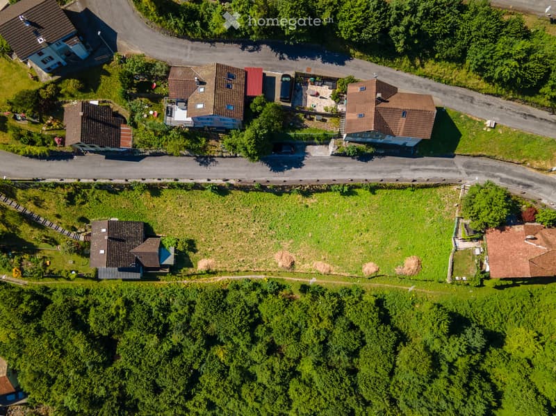 Aerial view of a residential area with multiple houses, driveways, and surrounding greenery.