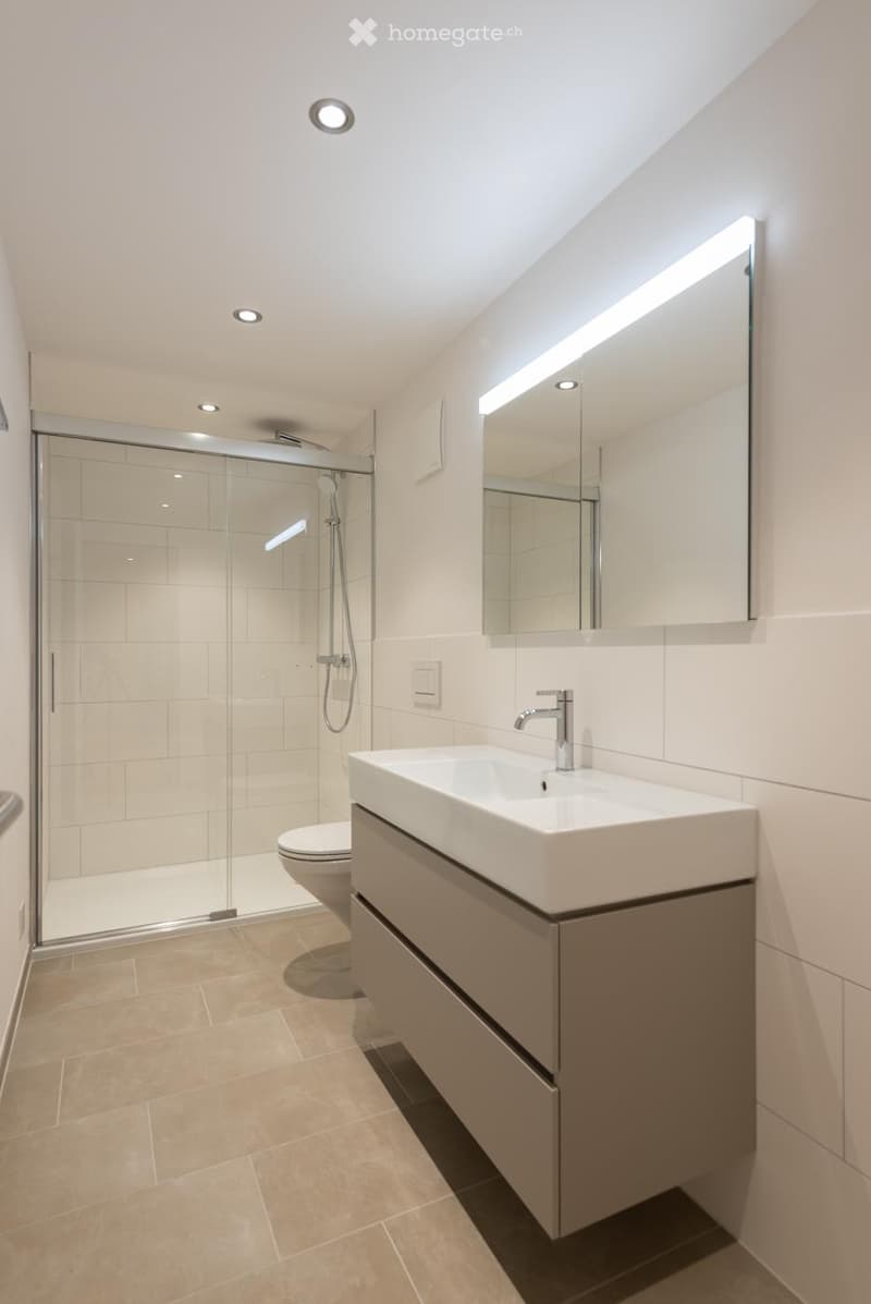 Modern bathroom with a white sink, mirror, glass shower enclosure, and toilet. Features recessed lighting and a sleek design.