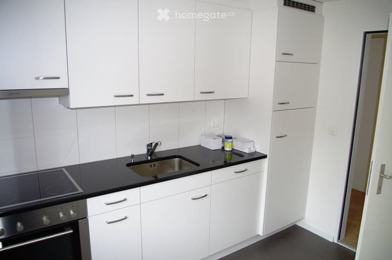 Modern kitchen with white cabinets, black countertop, stainless steel sink, and built-in oven.