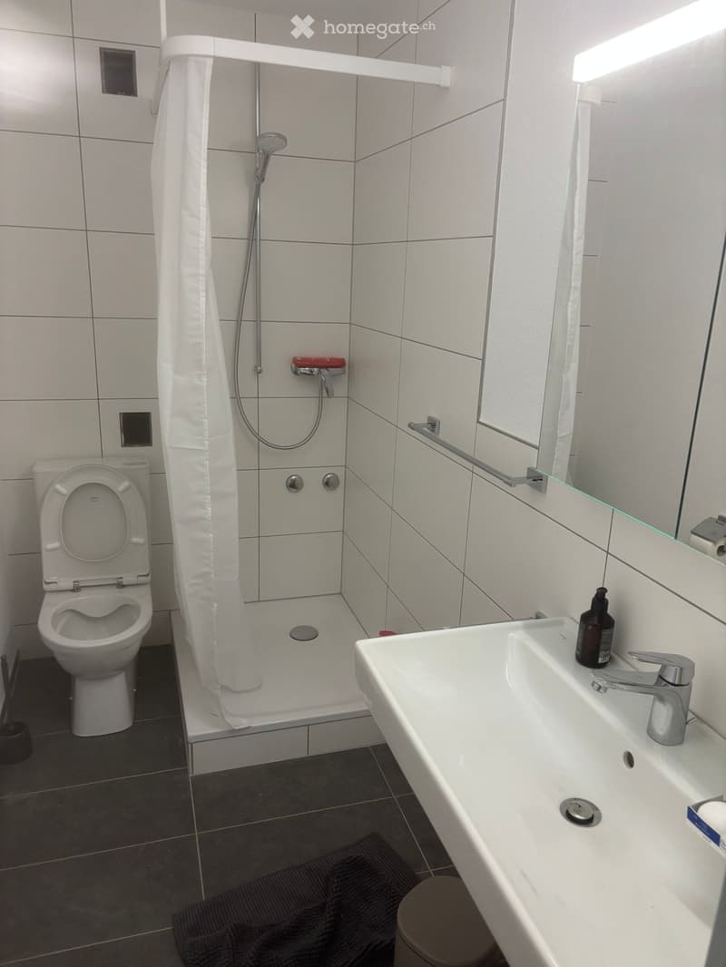 Modern bathroom with white tiled walls, a toilet, a sink with a mirror, a shower with a curtain, and a bottle on the sink counter.