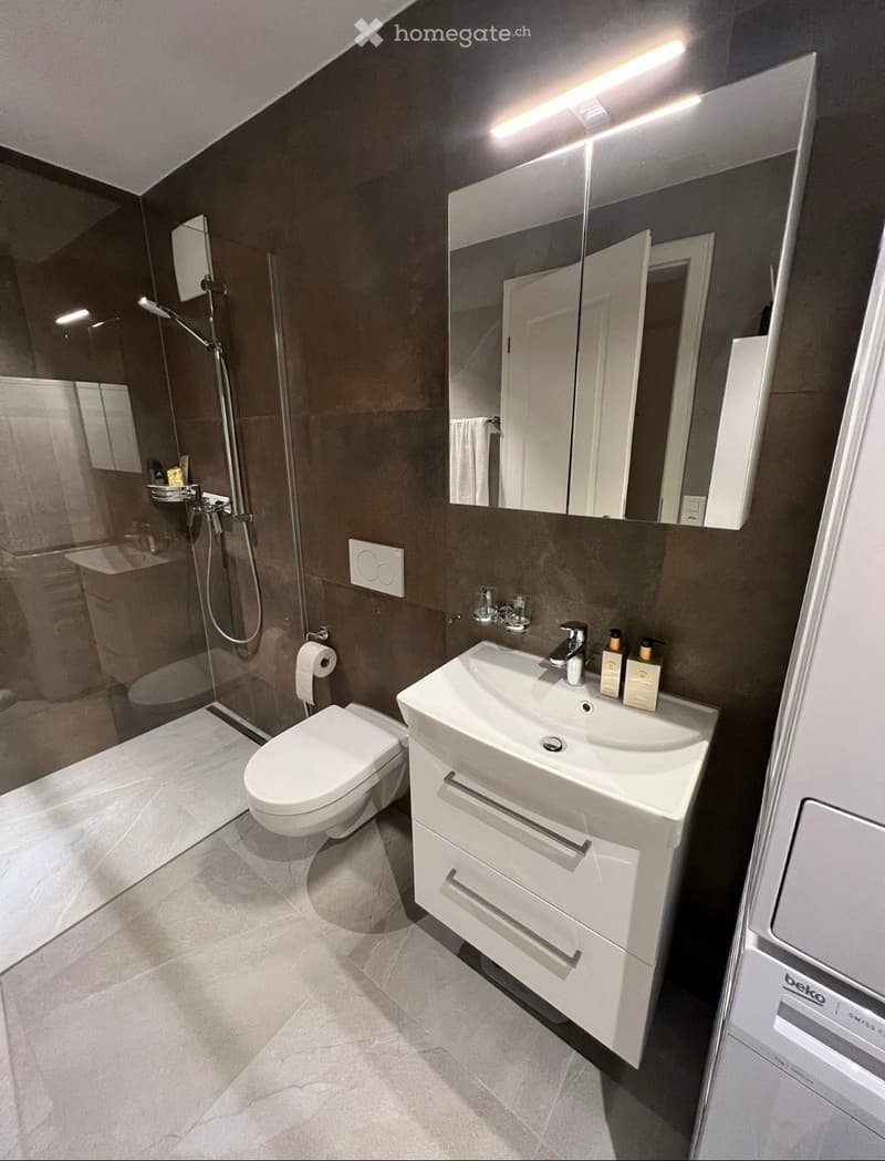 Modern bathroom with dark brown walls, white tiles, a toilet, a sink with a mirror, a shower area, and a towel rack.