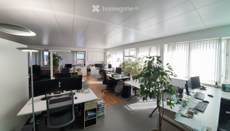 Modern office space with multiple desks, chairs, computer monitors, keyboards, mice, and a potted plant. The room features large windows with blinds, white walls, and a polished wooden floor.