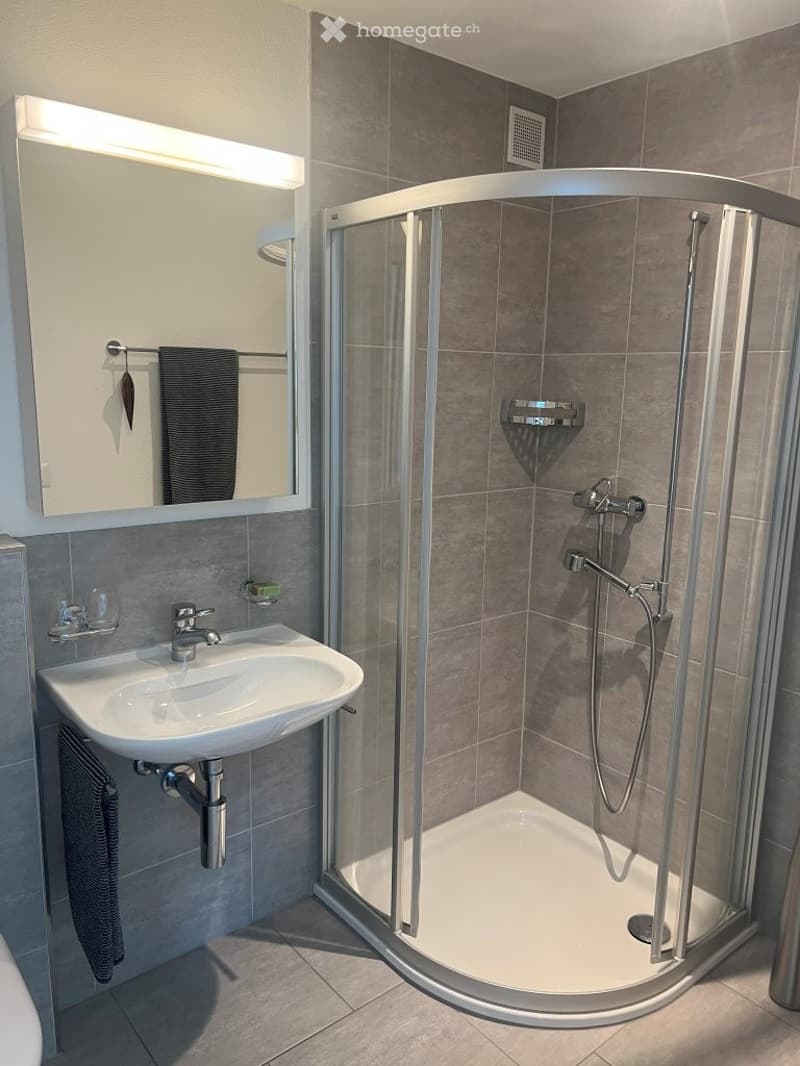 Modern bathroom with a white sink, large mirror, and a walk-in shower with glass enclosure. Grey tiles on walls and floor, towel hanging on a rack.