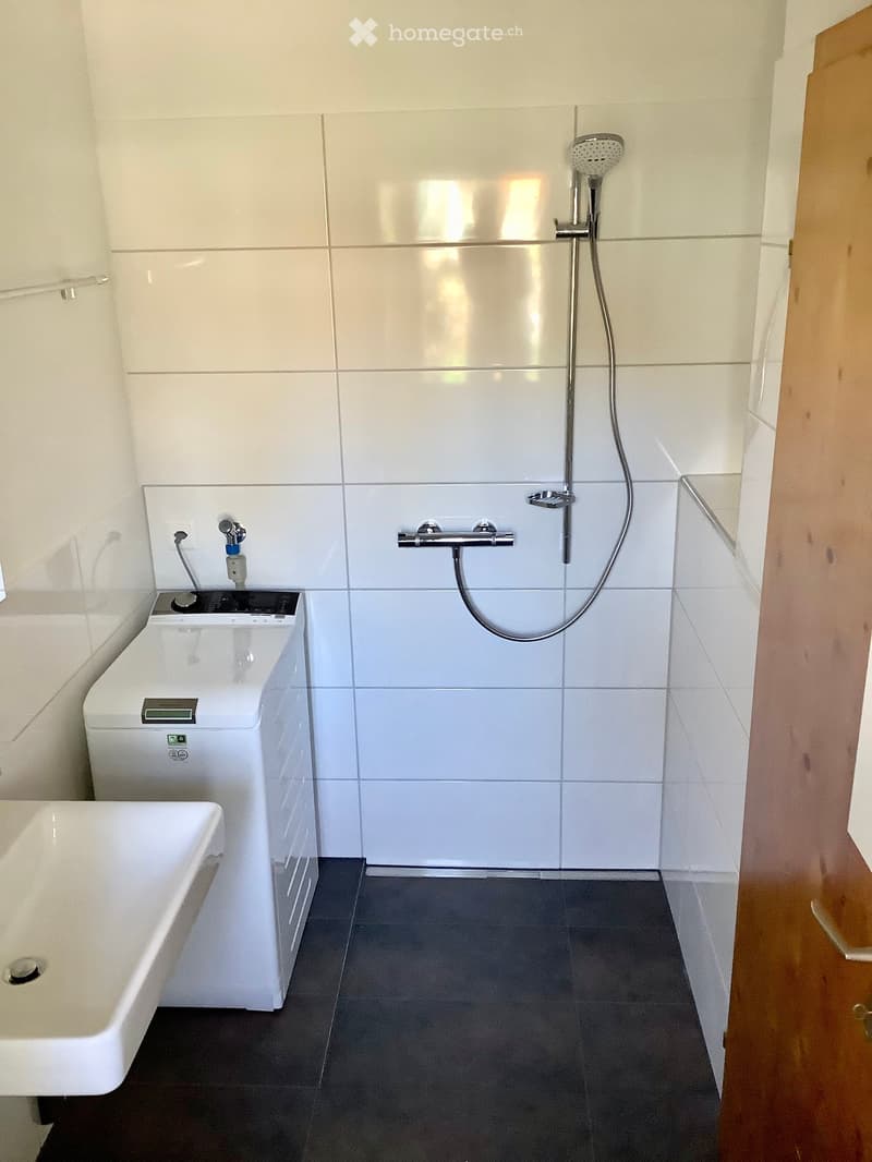 Modern bathroom with white tiles, a shower, a sink, and a private washing machine.