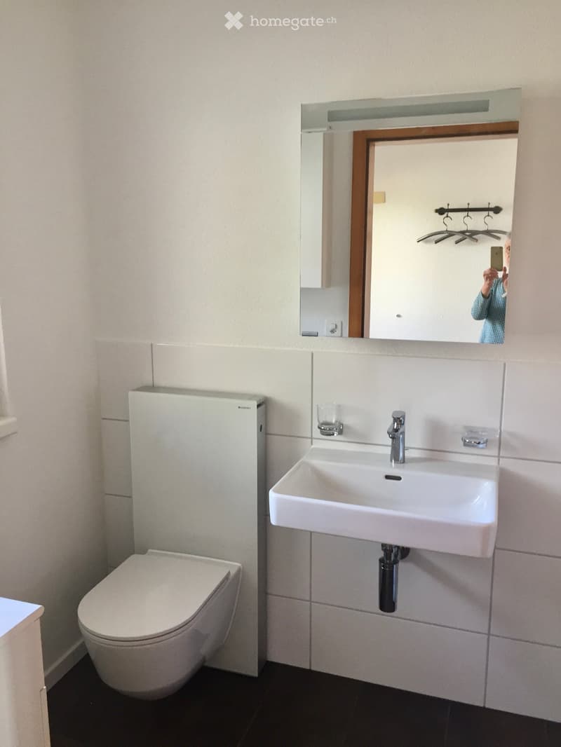 Modern bathroom with a white toilet, a white sink with a chrome faucet, a large mirror with wooden frame, and a cup on the sink counter.