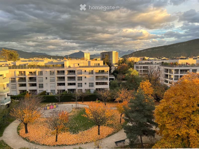 Appartement lumineux de 3 pièces avec balcon à Thônex (17)