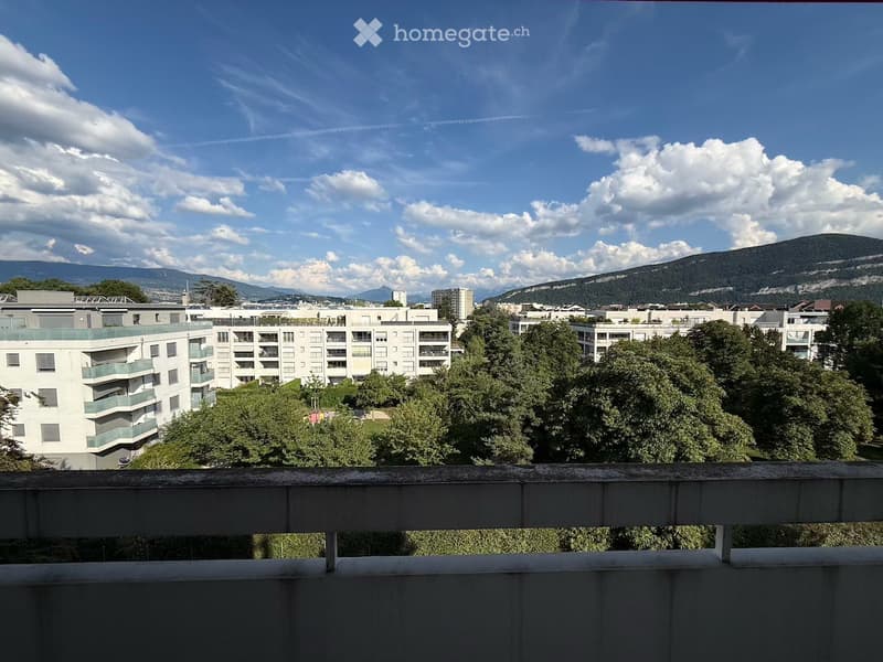 Appartement lumineux de 3 pièces avec balcon à Thônex (16)